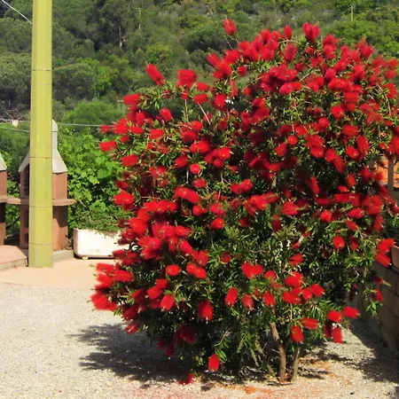 'elba Serena' Capoliveri (Isola d'Elba)